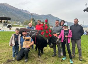 Vespa di Stefano Lale Démoz, che con una finale magistrale è l’ottava vincitrice del concorso interregionale riservato alle bovine primipare