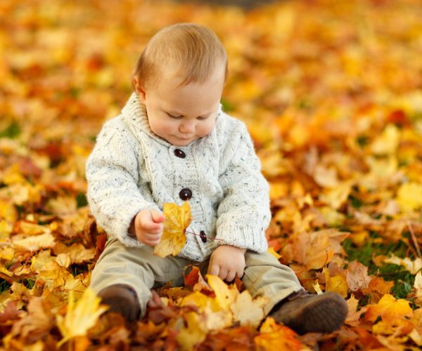 A piccoli passi Il bucaneve