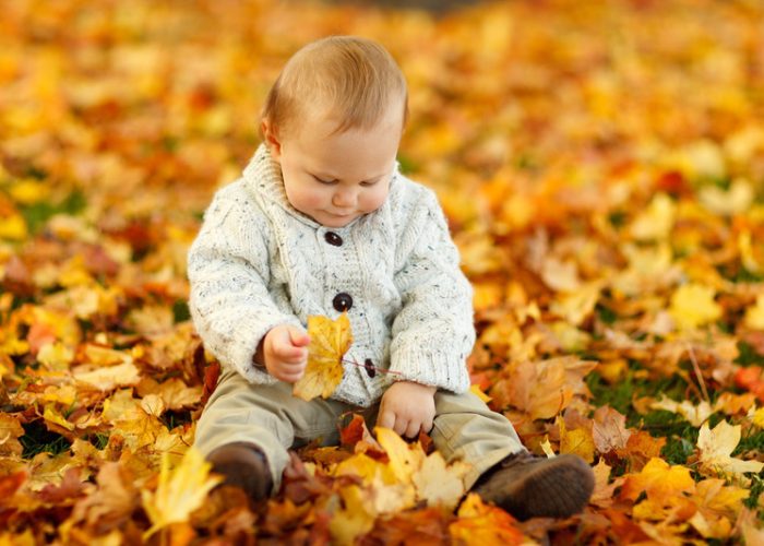 A piccoli passi Il bucaneve