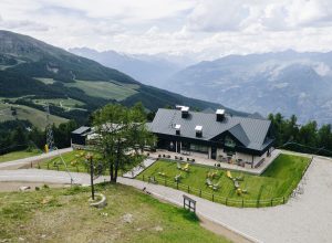 ALPENWOOD WEB