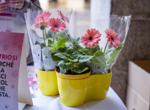 APE Fiori della Cosapevolezza ()