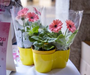 APE Fiori della Cosapevolezza ()