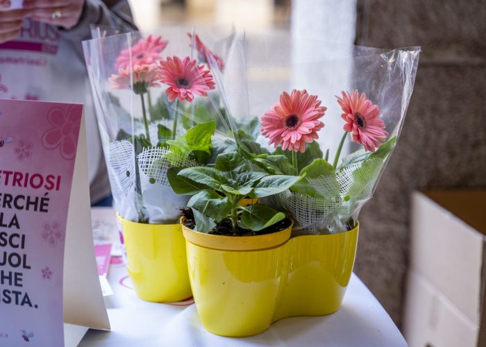 APE Fiori della Cosapevolezza ()