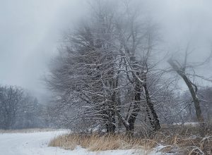Bufera, vento forte - Immagine generata con l'AI