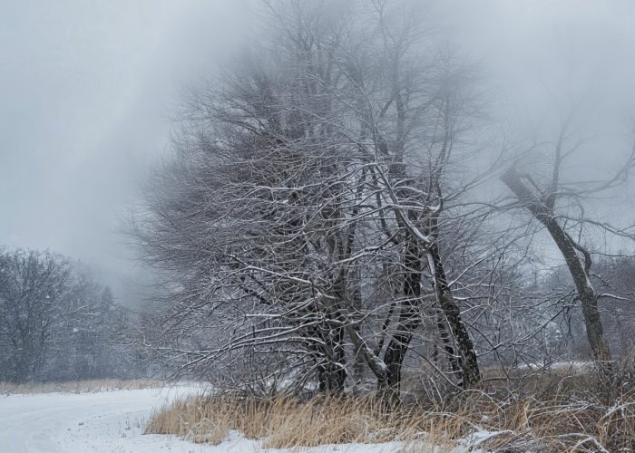 Bufera, vento forte - Immagine generata con l'AI