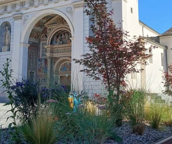 Acero giapponese - Verde pubblico Aosta