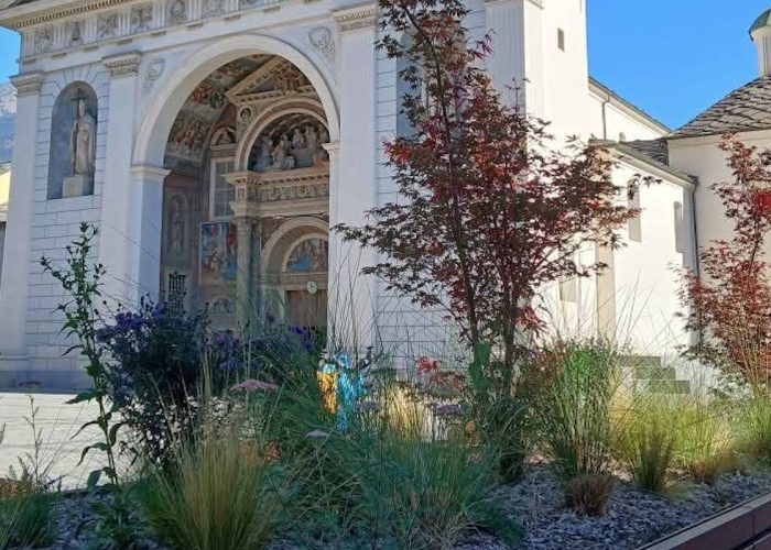 Acero giapponese - Verde pubblico Aosta