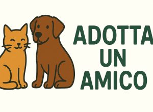 Adotta un amico