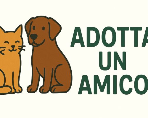 Adotta un amico