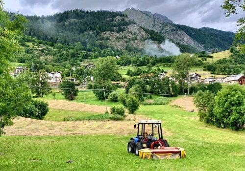 Agricoltura - Foto di repertorio.