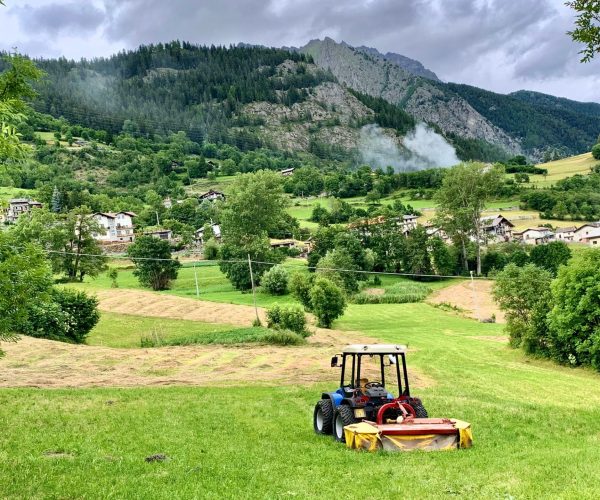 Agricoltura - Foto di repertorio.