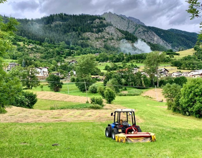 Agricoltura - Foto di repertorio.