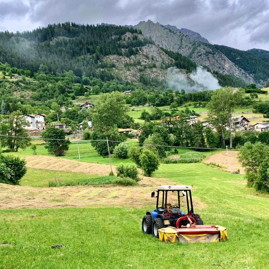 Agricoltura - Foto di repertorio.