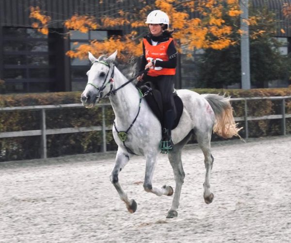 Alessia Lustrissy e Edimburg a Samorin Ottobre