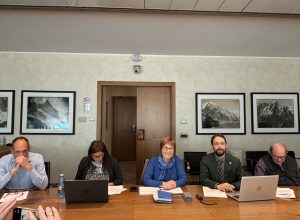 Alleanza Verdi Sinistra