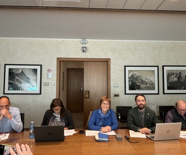 Alleanza Verdi Sinistra