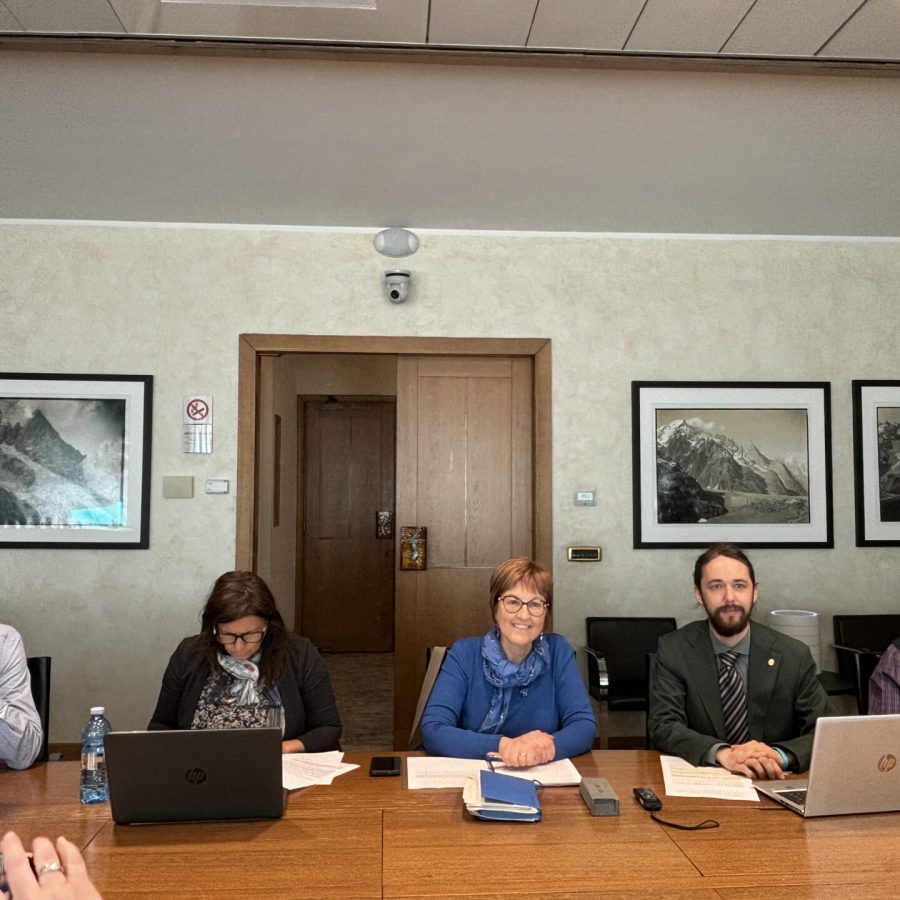 Alleanza Verdi Sinistra