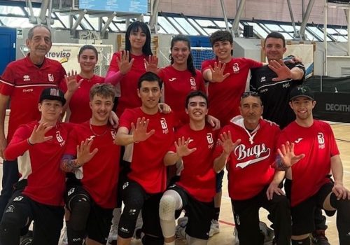 Aosta Bugs Campione Italiano baseball