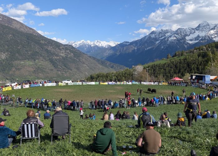 L'arena delle Batailles de reines di Gignod