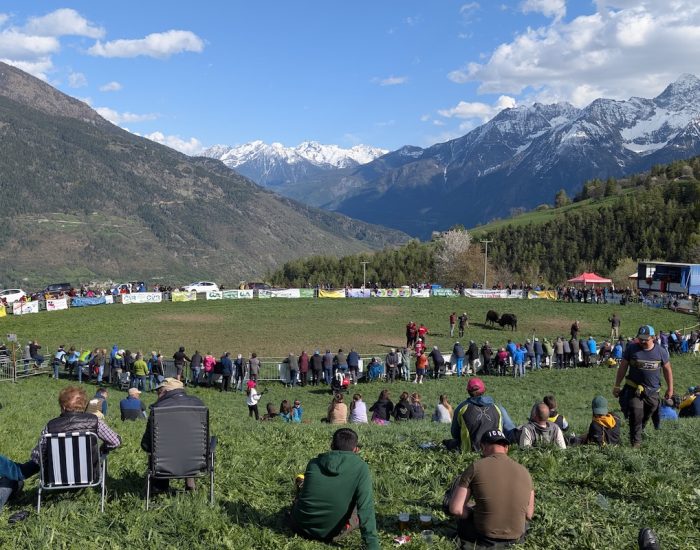 L'arena delle Batailles de reines di Gignod