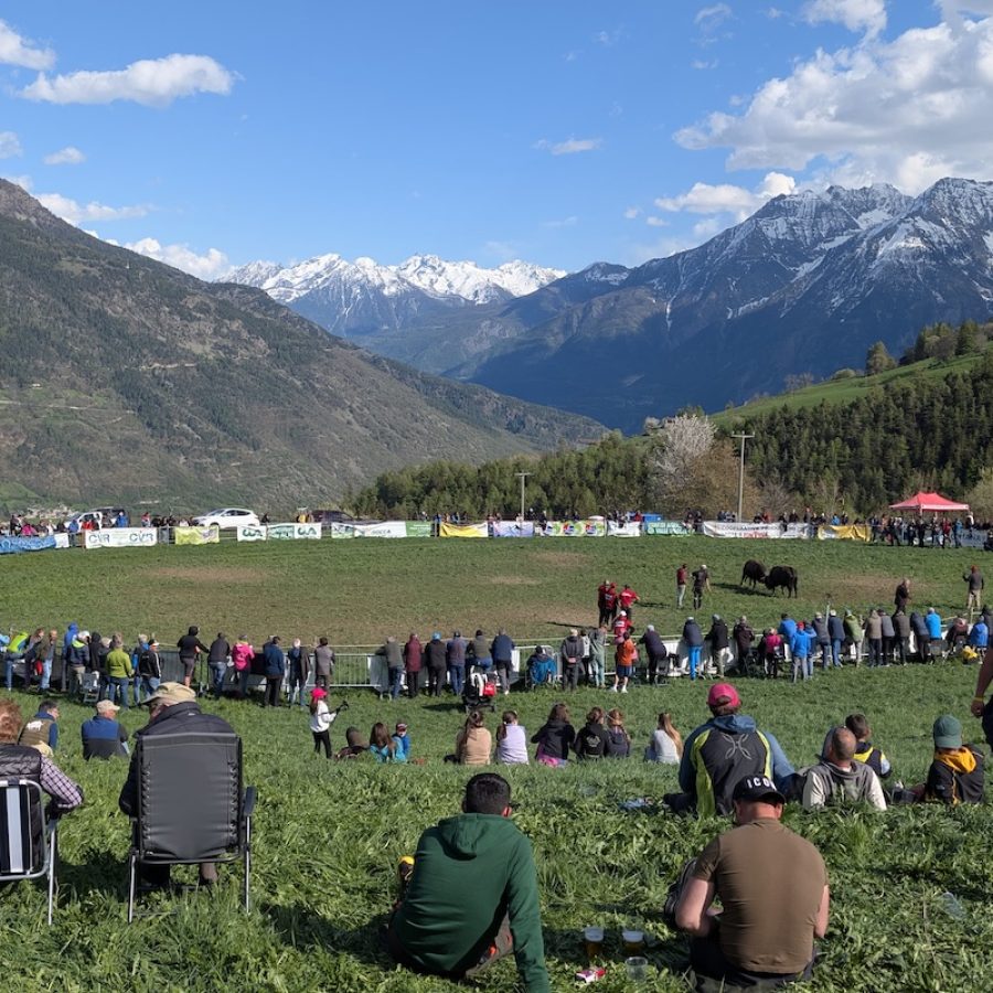 L'arena delle Batailles de reines di Gignod
