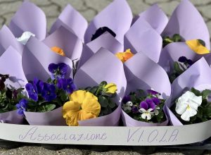 Associazione VIOLA - viole - violette