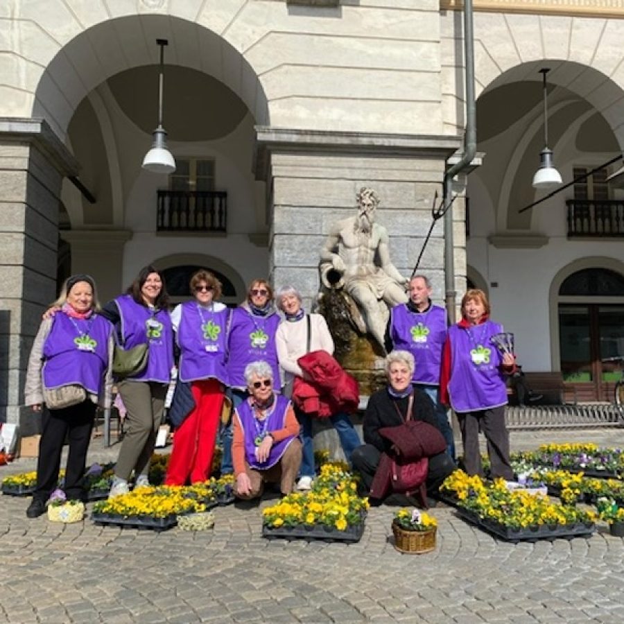 Associazione VIOLA le violette di Marzo