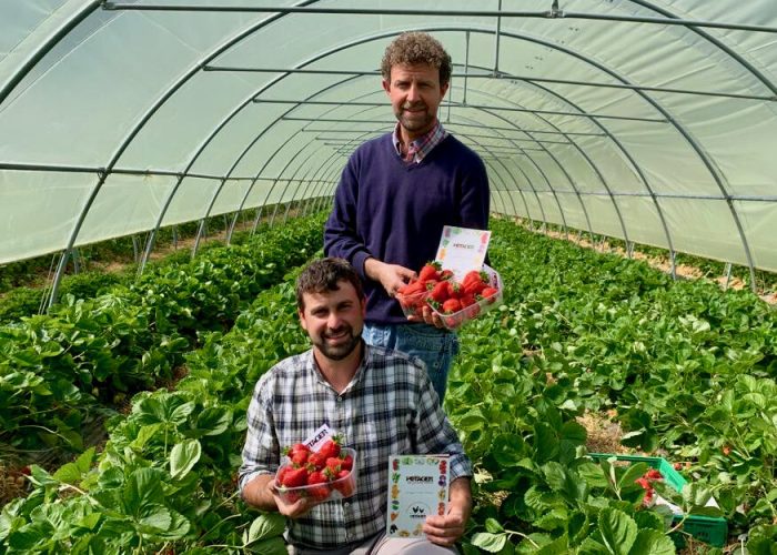 Alessio e Mattia Nicoletta