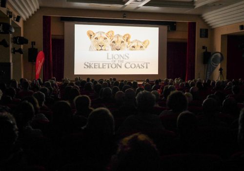 Il pubblico del Gran Paradiso Film Festival durante "Lions of the Skeleton Coast "