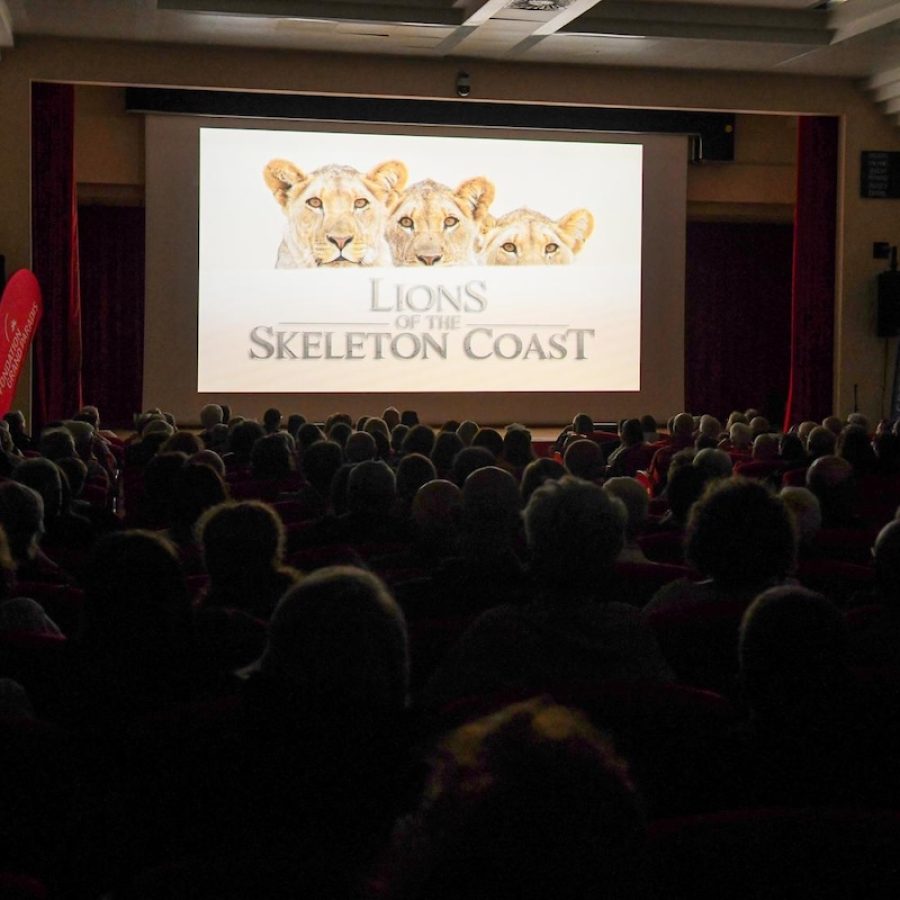 Il pubblico del Gran Paradiso Film Festival durante "Lions of the Skeleton Coast "