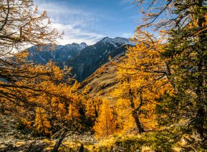 Autumn in Courmayeur ph Giacomo Buzio