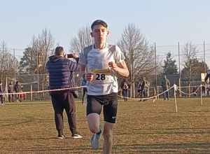 Luca Beltramelli