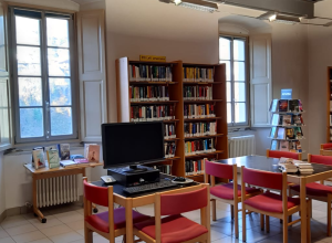Biblioteca Châtillon