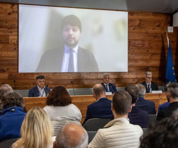 Brando Benifei