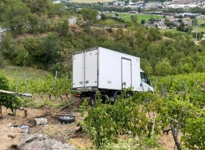 Camion caduto nelle vigne