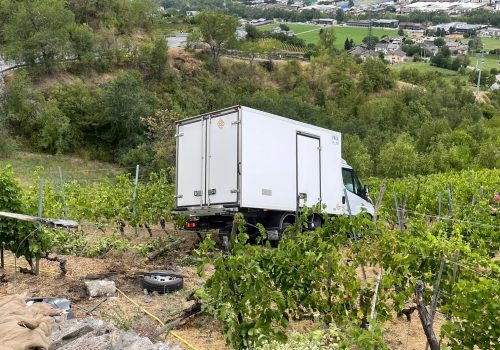 Camion caduto nelle vigne
