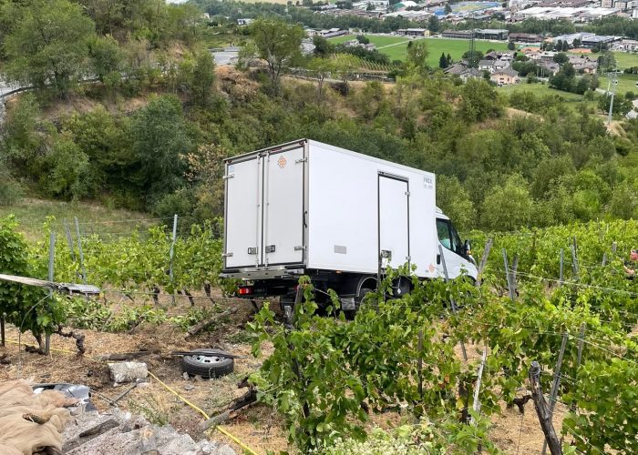 Camion caduto nelle vigne