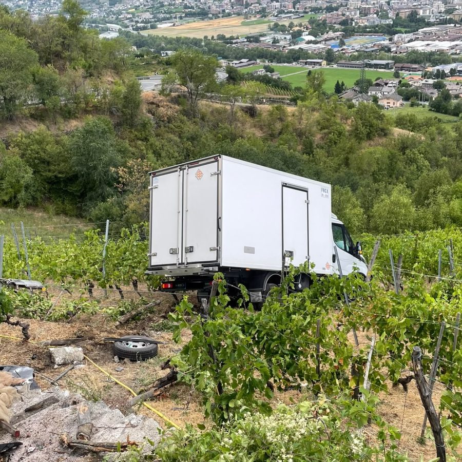 Camion caduto nelle vigne