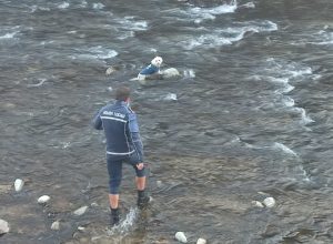 Cane in acqua Polizia locale