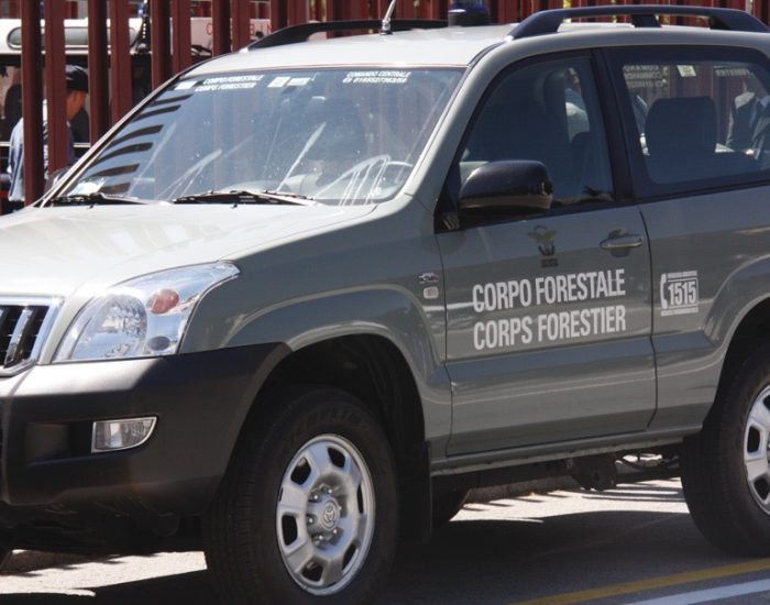 Auto del Corpo Forestale