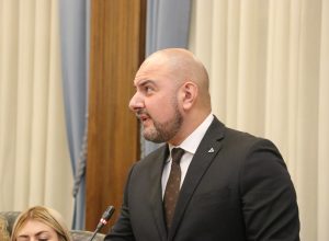 Carlo Marzi Stella Alpina