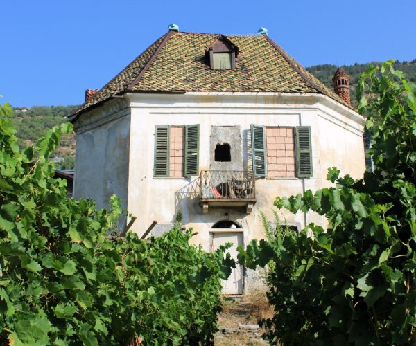 Casa delle vigne
