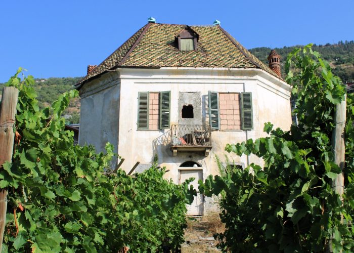 Casa delle vigne