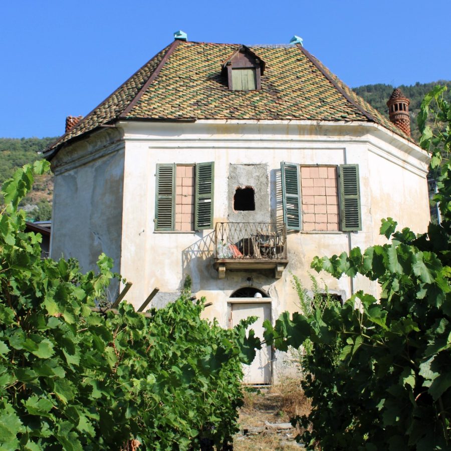 Casa delle vigne