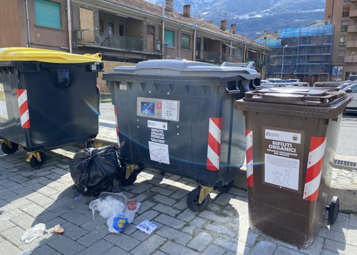 Cassonetti bidoni rifiuti