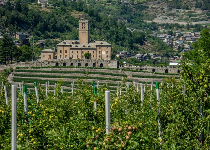 Castello Reale di Sarre