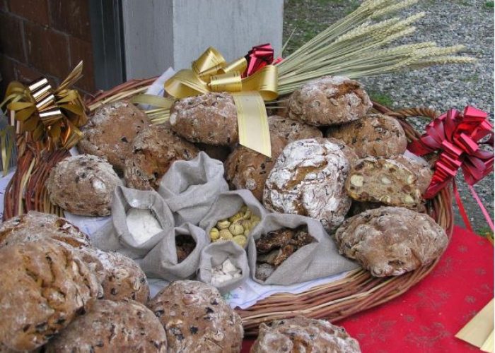 Festa della Micòoula