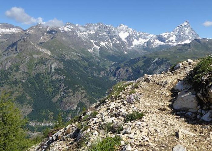Cervino Guide Trek Alps Davide DAcunto