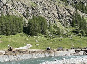 Cogne luglio