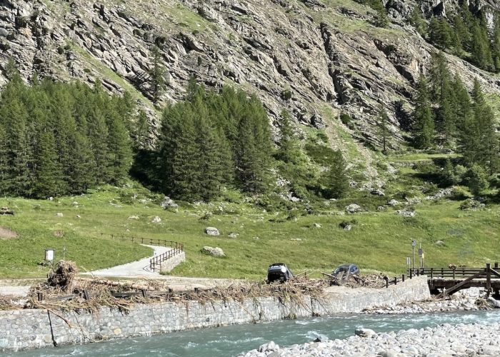 Cogne luglio